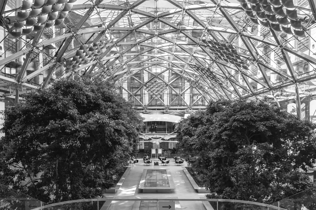 The arched timber and glass roof of the Portcullis House courtyard, with trees beneath it