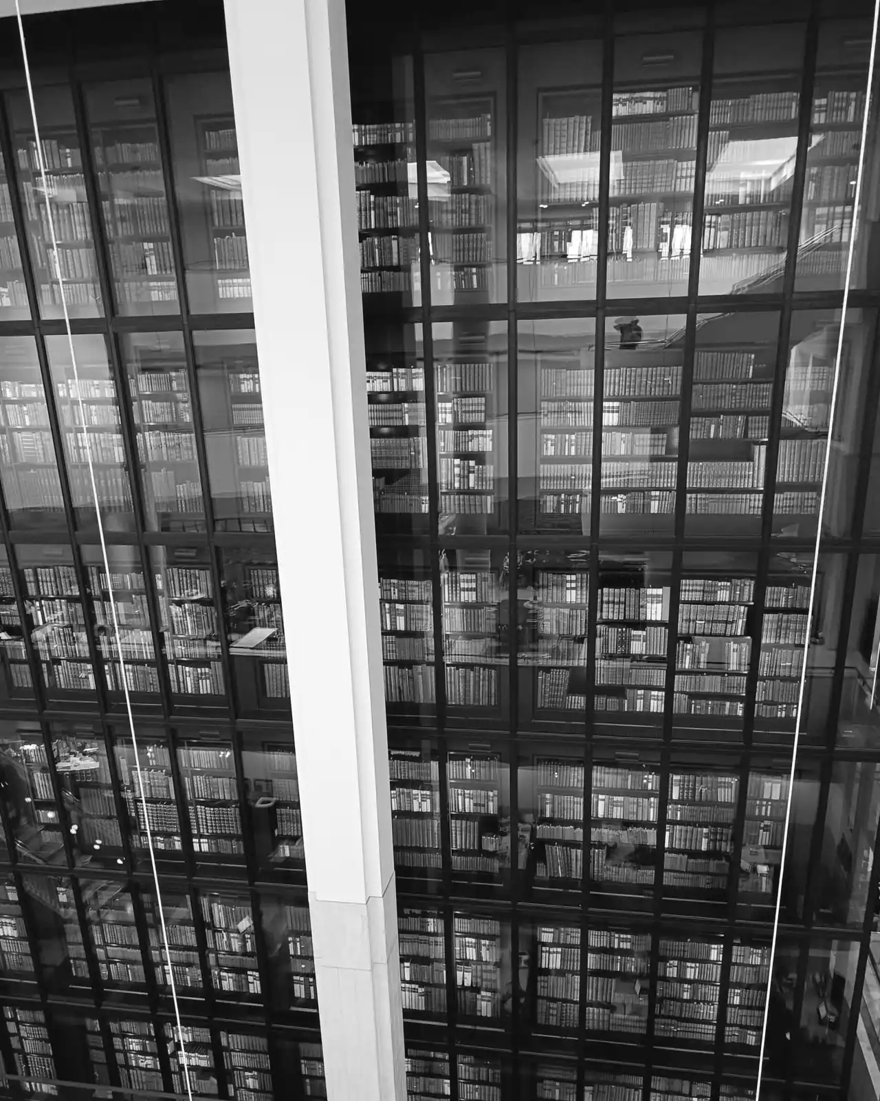 The glass-walled tower of the King's Library at the British Library, filled with books
